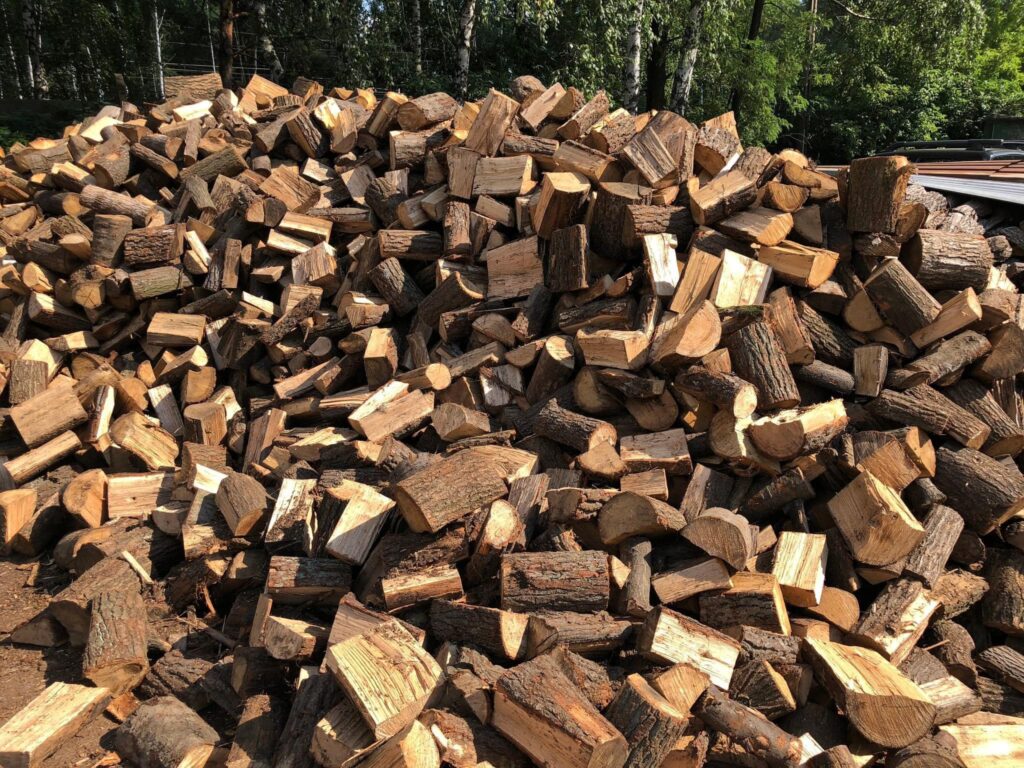 Strona główna a large pile of cut logs