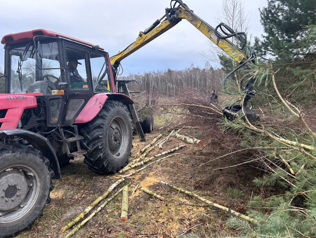 Strona główna zrywka drewna