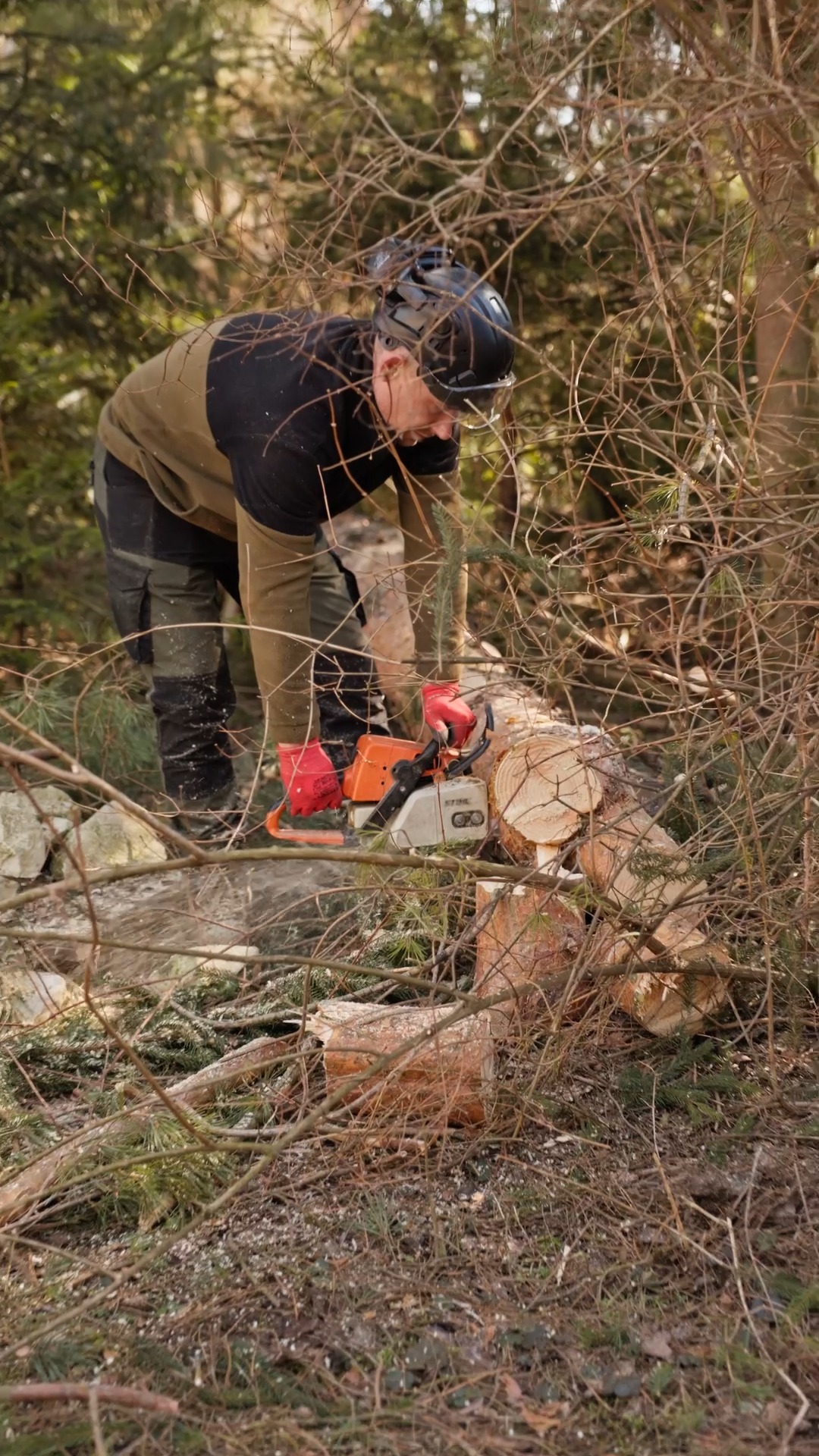 Nasza praca Timber Fuel