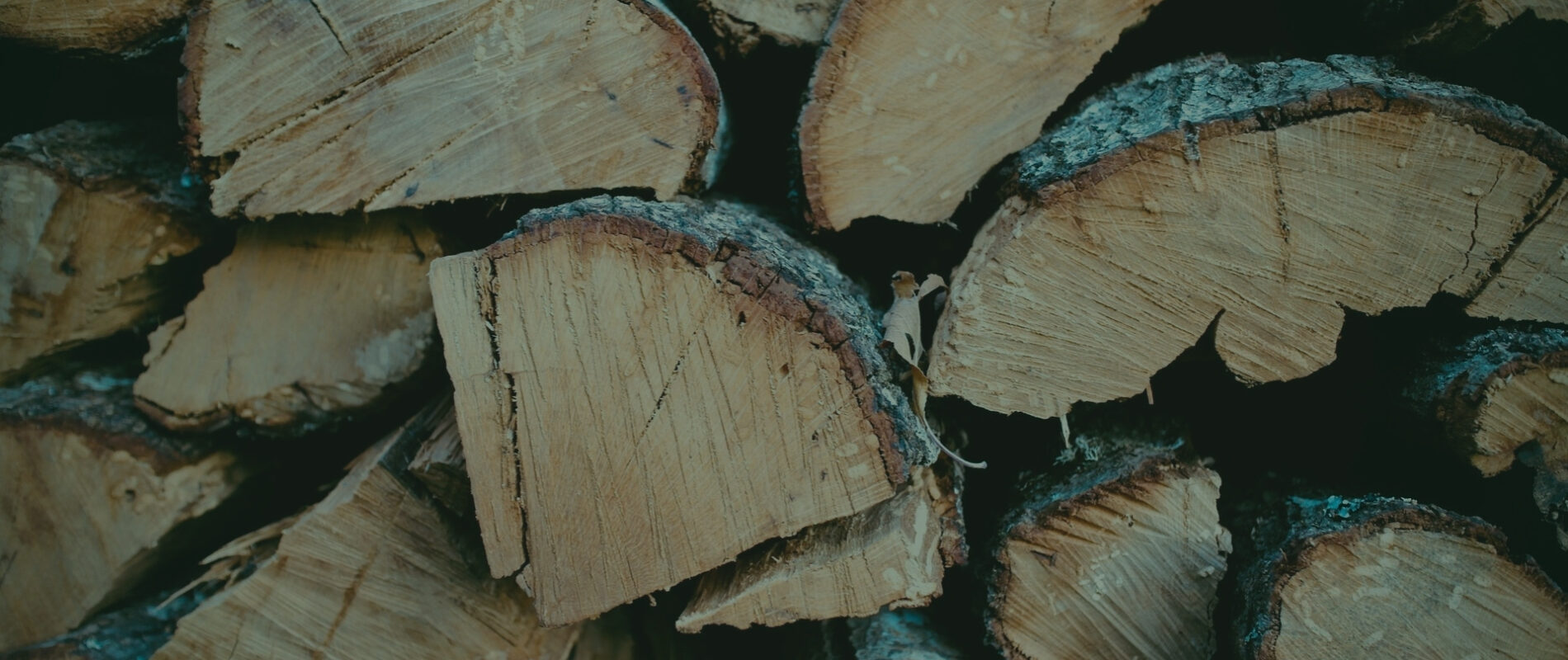 drewno opalowe i kominkowe timber fuel
