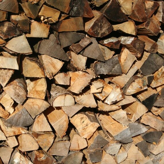 ile schnie drewno opałowe