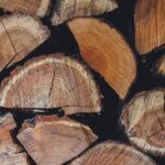 jakie drewno opałowe wybrać do domu