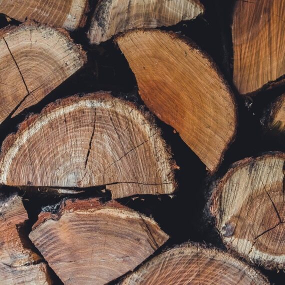 jakie drewno opałowe wybrać do domu