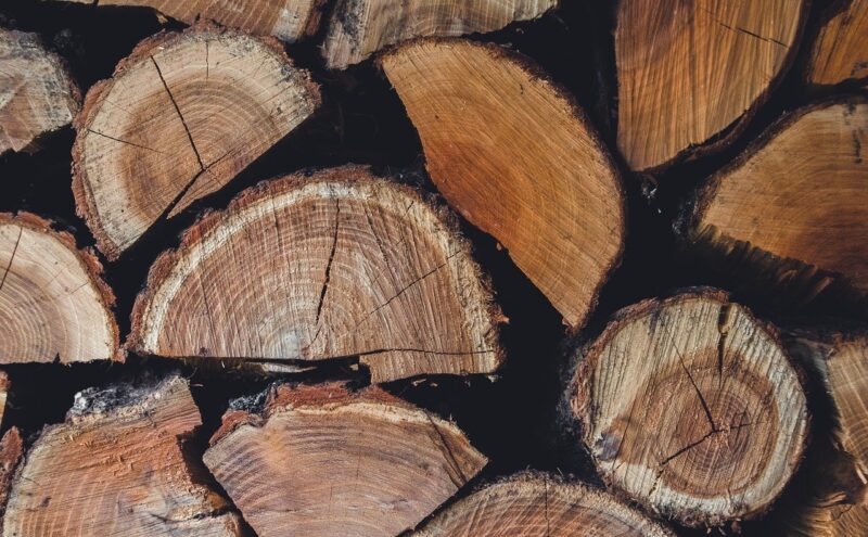 jakie drewno opałowe wybrać do domu