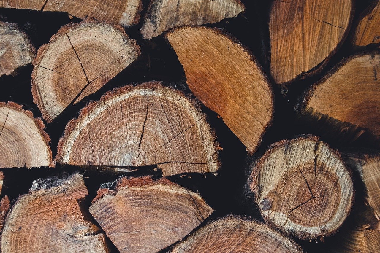 jakie drewno opałowe wybrać do domu