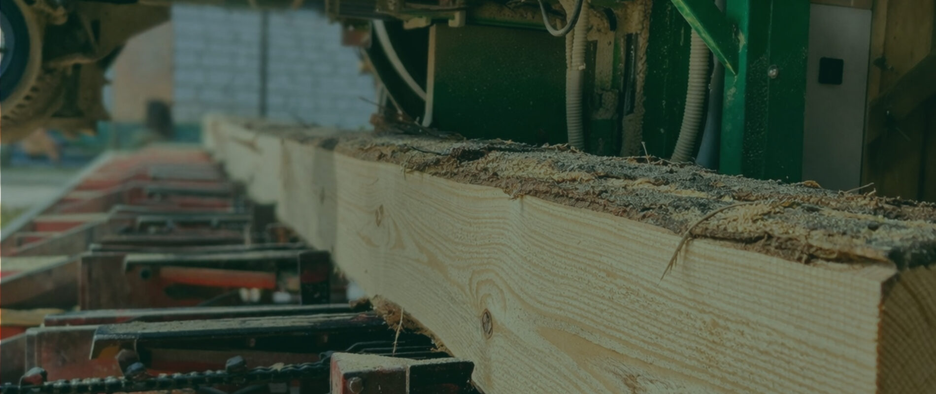 usługi tartaczne timber fuel