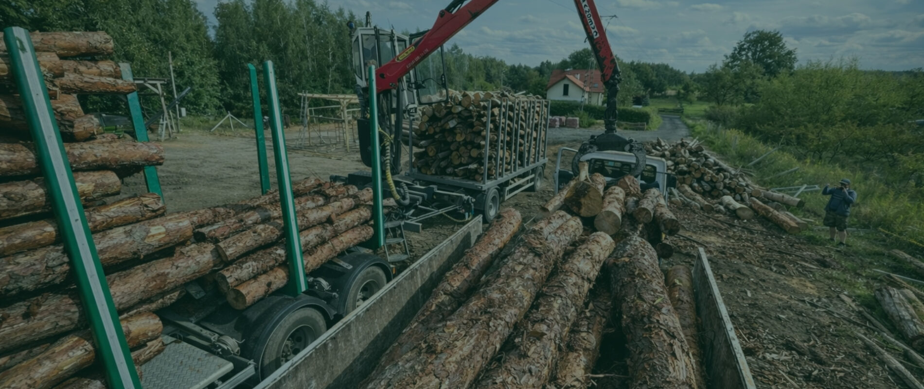 zrywka i transport drewna timber fuel